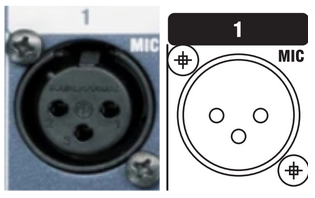 XLR Inputs