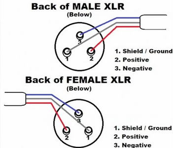 XLR Pinout